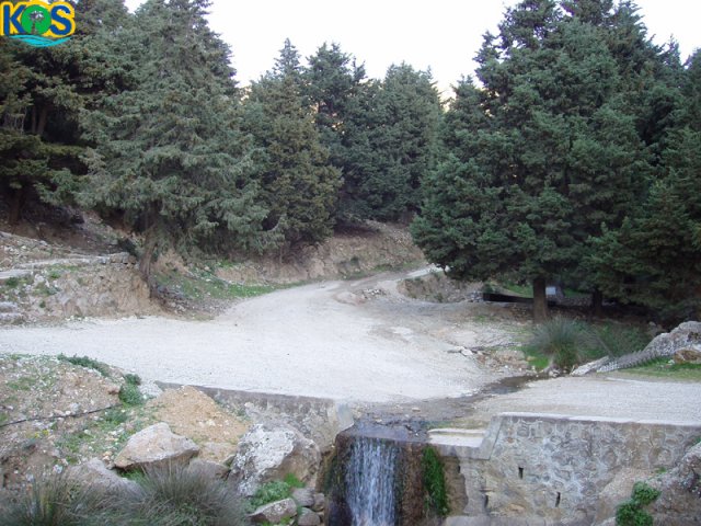 old2